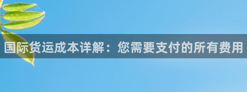 尊龙d88ag旗舰厅：国际货运成本详解：您需要支付的所有