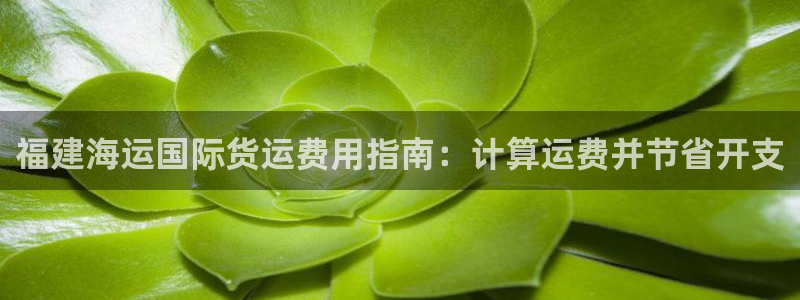 尊龙Ag：福建海运国际货运费用指南：计算运费并节省开支