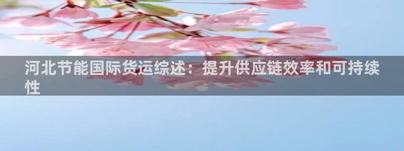 尊龙凯时平台有没有不到账的：河北节能国际货运综述：提升供