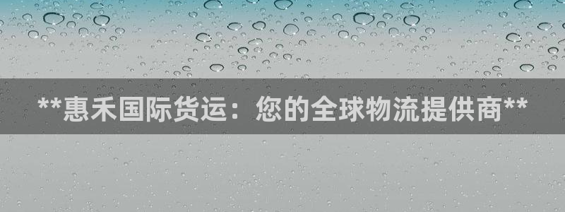 尊龙官网手：**惠禾国际货运：您的全球物流提供商**